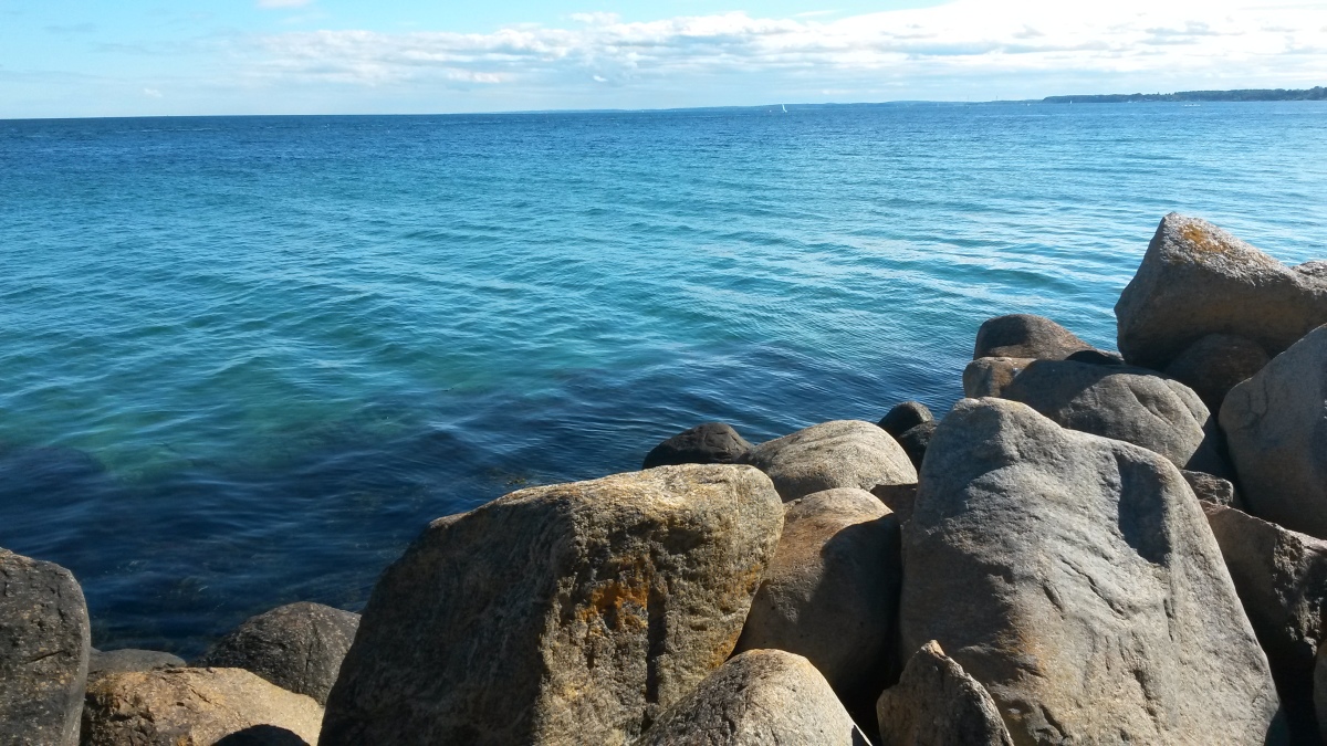 Design of coastal protection structures